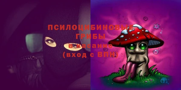 ПСИЛОЦИБИНОВЫЕ ГРИБЫ Бердск