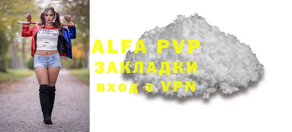 PSILOCYBIN Михайлов