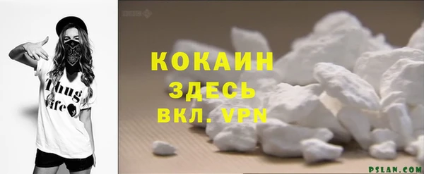 PSILOCYBIN Михайлов