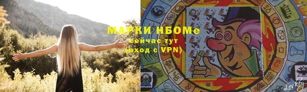 PSILOCYBIN Михайлов