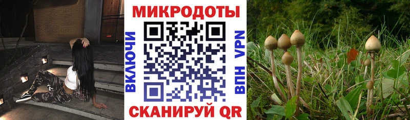 Галлюциногенные грибы ЛСД  blacksprut ссылка  Альметьевск 